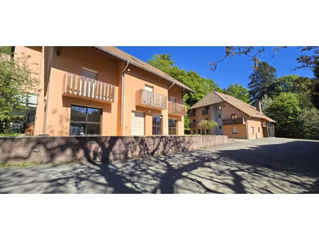 achat immeuble 3 300m² masevaux niederbruck 68290
