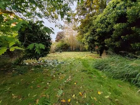 special investisseur - coeur historique paray le monial