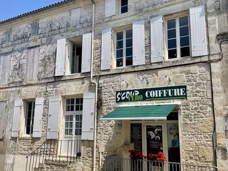 vente local commercial 5 pièces 189m2 saint-savinien 17350 - 315000 € - surface privée