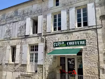 vente local commercial saint-savinien 17350 - - surface privée