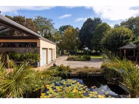 commercieel te koop in ninove