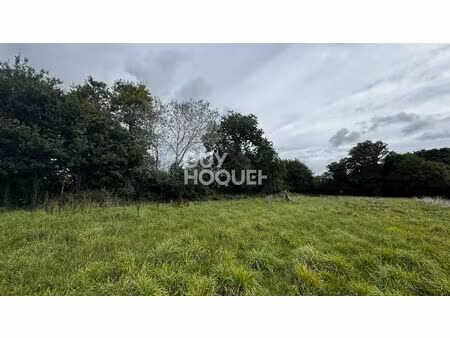 terrain à vendre à noyalo - référence 6899