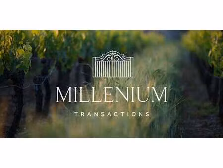 vignoble lalande-de-pomerol (33)