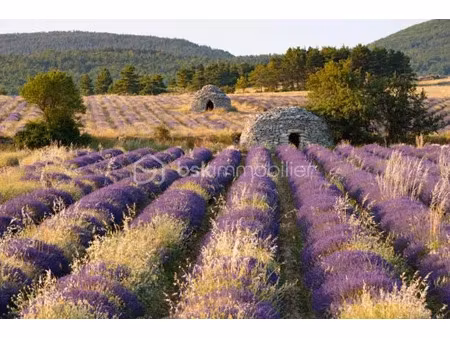 vente maison 40 pièces 2360 m² à grignan (26230)  6 800 000 €