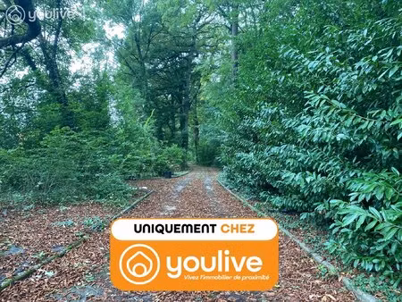 propriété de 185m²+maison de 75 m² sur un terrain de plus de 12888 m²