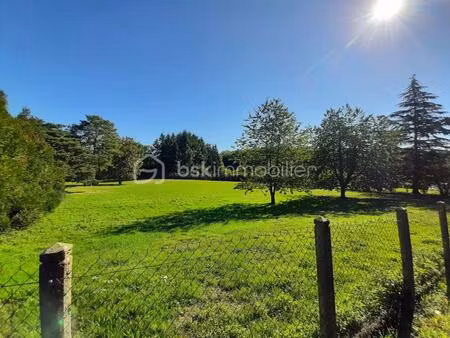 terrain constructible de 4690 m² - cognac-la-forêt 87310