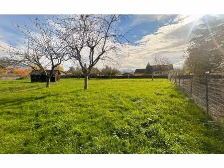 terrain cranves-sales m² t- à vendre  339 500 €