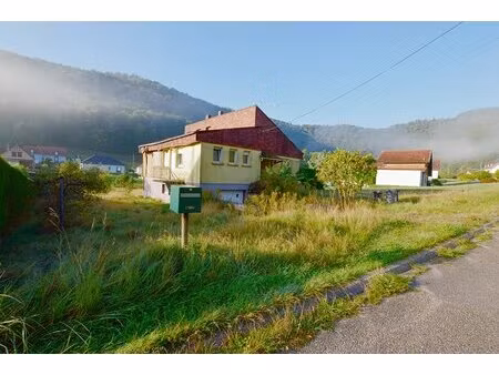 maison à philippsbourg: charme au cœur de la nature