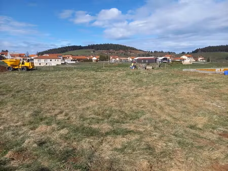 vente terrain 649 m² à costaros (43490)  25 311 €