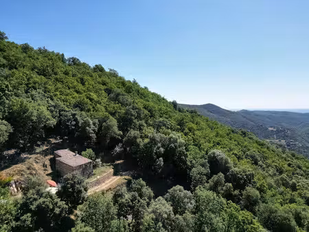 vente locaux professionnels 1 pièce 25 m² à saint-roman-de-codières (30440)  129 000 €