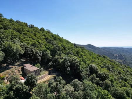 vente locaux professionnels 1 pièce 25 m² à saint-roman-de-codières (30440)  139 000 €