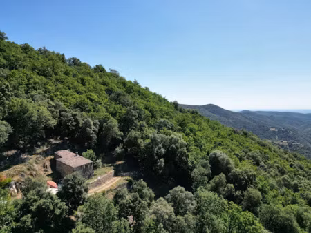 vente locaux professionnels 1 pièce 25 m² à saint-roman-de-codières (30440)  159 000 €