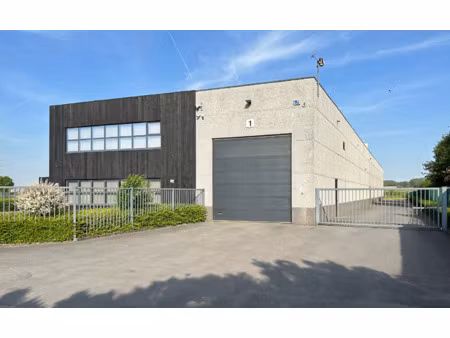 commercieel te huur in kruisem