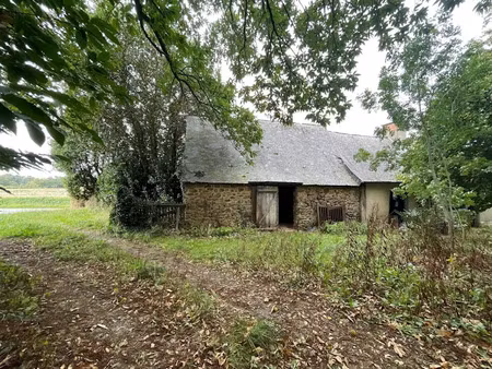 vente maison 2 pièces 91 m² à brielles (35370)  37 500 €