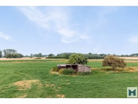 grond te koop in buggenhout