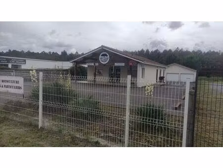 morcenx la nouvelle - murs commerciaux libres 115 m²