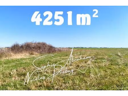 grand terrain constructible de 4251m² à la campagne