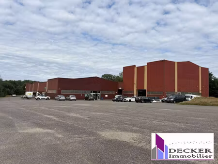 achat local commercial 4 000m² steinbourg 67790