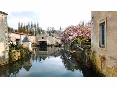 environnement idyllique pour cet ancien moulin - verteuil sur charente