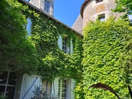 maison de luxe 7 chambres en vente à ingrandes  pays de la loire