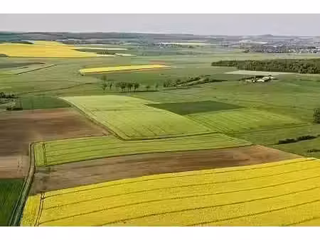 vente terrain 1525000 m² saint-lactencin (36500)