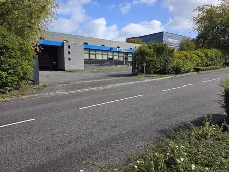 vente commerce 2631 m² bondues (59910)