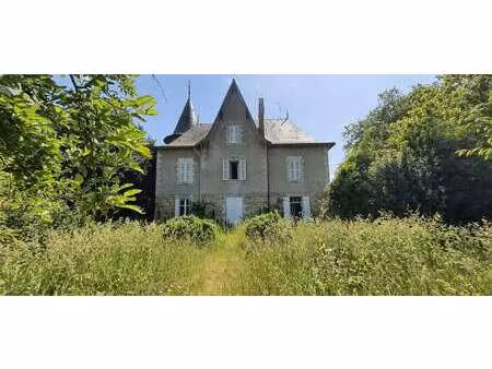 vente maison à saint-julien-de-vouvantes (44670) : à vendre / 341m² saint-julien-de-vouvan