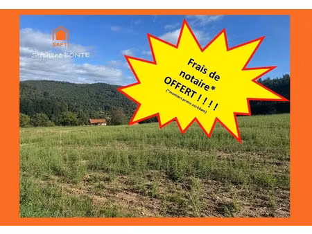 vente terrain 2043 m² à vorey (43800)  67 900 €