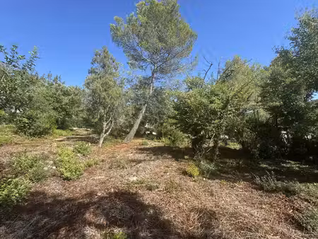 achat : terrain (06650)