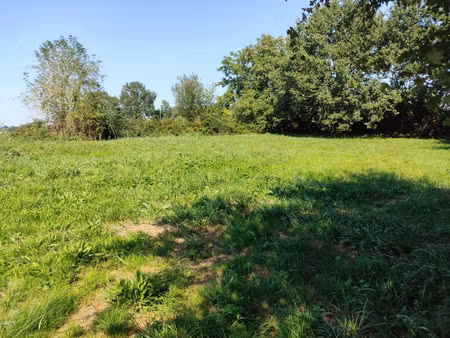 terrain à vendre tesson 1161m2 43 500€