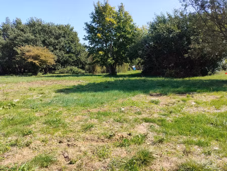 terrain à vendre tesson 1227m2 46 000€