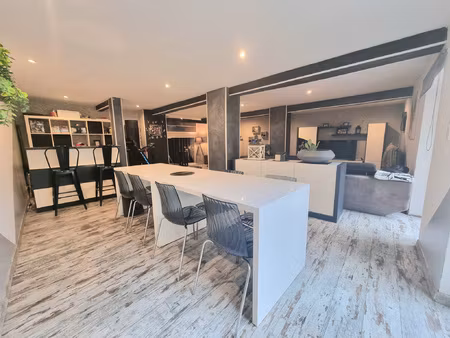 maison 200 m2 beaux volumes- 3 chambres - terrasse