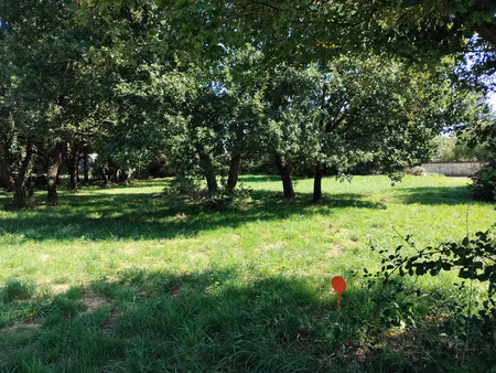à vendre terrain à bâtir 1 282 m² – tesson (17460) –