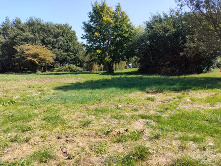 terrain à bâtir - 1227 m2 - tesson (17460)