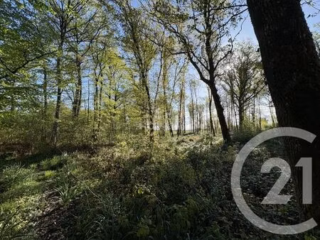 terrain à vendre - 37340 m2 - chasseneuil - 36 - centre