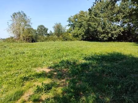 vente terrain à tesson (17460) : à vendre / 1123m² tesson