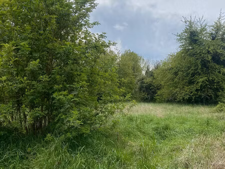 terrain constructible -secteur recherché