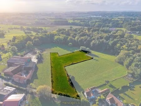 terrain à vendre à ellezelles € 379.000 (len1m) - immo nobels | zimmo