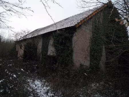 7 hectares et grange