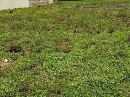 vente terrain à batir 715 m² à thairé (17290)  114 055 €