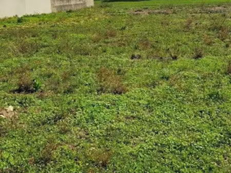 vente terrain 715 m² à thairé (17290)  114 055 €