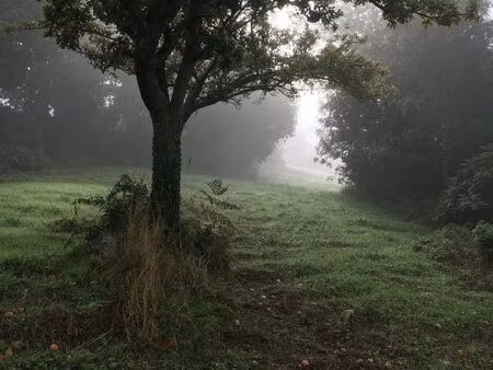 terrain constructible