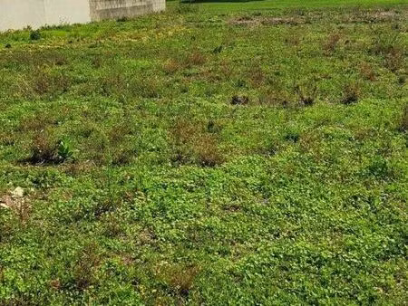 terrain 715 m² thaire