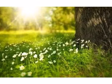 vente terrain 450 m² à loudun (86200)  15 750 €