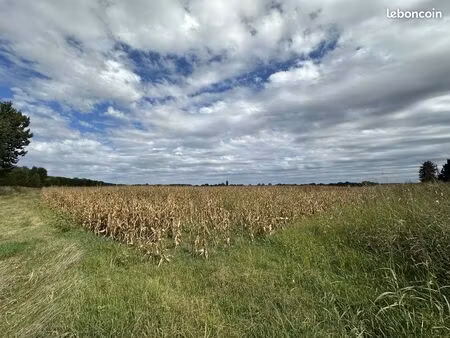 terrain 149014 m² tonneins