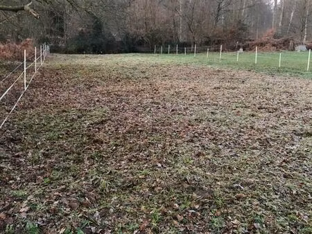 terrain à bâtir st sauveur 1300m2