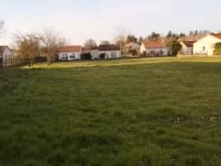 terrain constructible