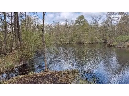 parcelle d'étang à glisy