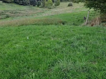 prairie avec ruisseau 5 ha 42 a