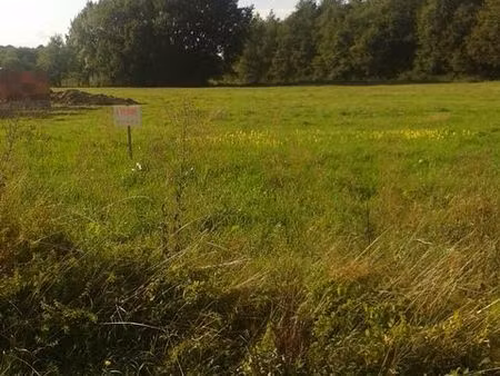 terrain constructible